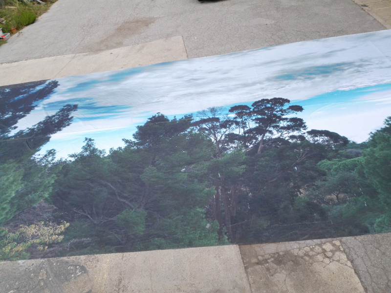 fondo fotografico bosque cielo loneta ojales 2tamaños 1u